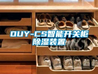 企業新聞OUY-CS智能開關柜除濕裝置