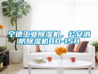 常見問題寧德工業除濕機，公安消防除濕機BD-15H
