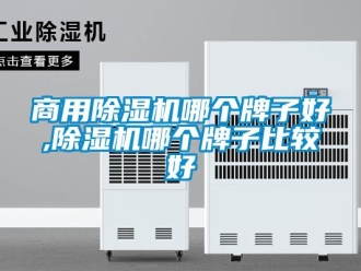 常見問題商用除濕機(jī)哪個牌子好,除濕機(jī)哪個牌子比較好