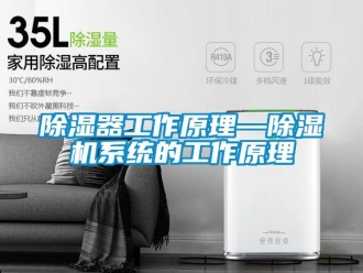 行業(yè)新聞除濕器工作原理—除濕機(jī)系統(tǒng)的工作原理