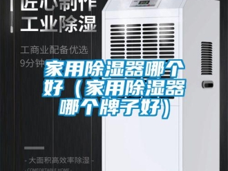 行業(yè)新聞家用除濕器哪個好（家用除濕器哪個牌子好）