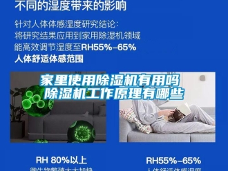 行業(yè)新聞家里使用除濕機有用嗎 除濕機工作原理有哪些