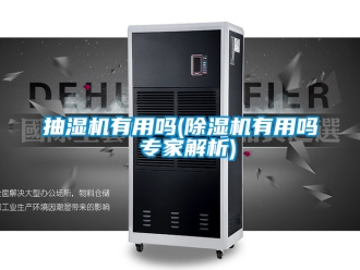 企業新聞抽濕機有用嗎(除濕機有用嗎 專家解析)