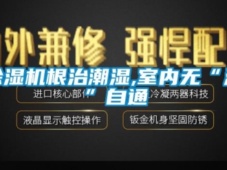 常見問題除濕機根治潮濕,室內無“濕”自通