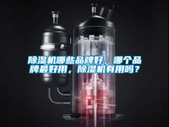 企業新聞除濕機哪些品牌好，哪個品牌最好用，除濕機有用嗎？