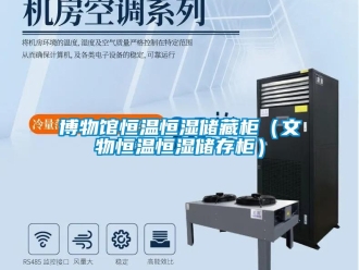 常見問題博物館恒溫恒濕儲藏柜（文物恒溫恒濕儲存柜）
