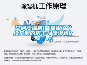 行業(yè)新聞空調(diào)除濕機(盛夏租了個沒空調(diào)的房子？除濕機了解一下)