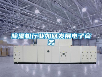 常見問題除濕機行業如何發展電子商務