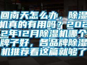 企業新聞回南天怎么辦，除濕機真的有用嗎？2022年12月除濕機哪個牌子好，各品牌除濕機推薦看這篇就夠了