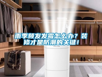 常見問題雨季頻發發霉怎么辦？裝修才是防潮的關鍵！