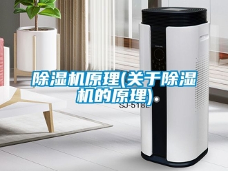 行業新聞除濕機原理(關于除濕機的原理)