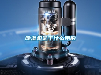 行業(yè)新聞除濕機是干什么用的