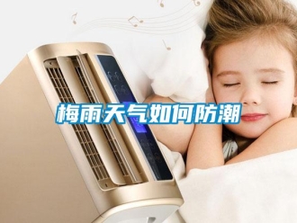 常見問題梅雨天氣如何防潮