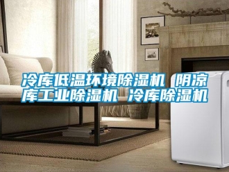 常見問題冷庫低溫環境除濕機 陰涼庫工業除濕機 冷庫除濕機