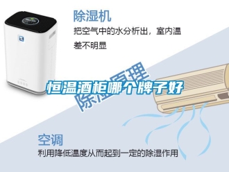 知識百科恒溫酒柜哪個牌子好