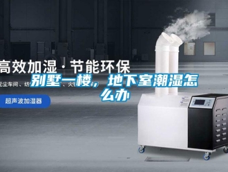 企業(yè)新聞別墅一樓，地下室潮濕怎么辦