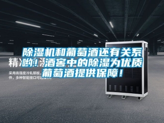 行業(yè)新聞除濕機(jī)和葡萄酒還有關(guān)系喲！酒窖中的除濕為優(yōu)質(zhì)葡萄酒提供保障！