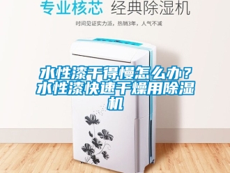 行業(yè)新聞水性漆干得慢怎么辦？水性漆快速干燥用除濕機(jī)