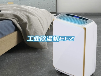 常見問題工業除濕機CFZ