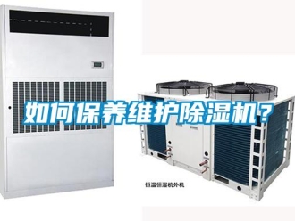 行業新聞如何保養維護除濕機？