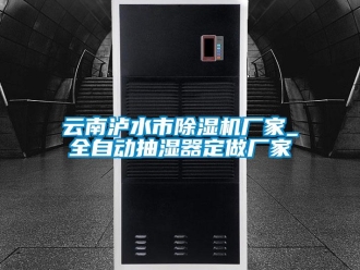 企業新聞云南瀘水市除濕機廠家_全自動抽濕器定做廠家