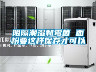 知識百科阻隔潮濕和霉菌 面粉要這樣保存才可以