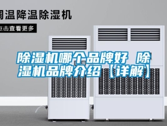 企業(yè)新聞除濕機(jī)哪個品牌好 除濕機(jī)品牌介紹【詳解】