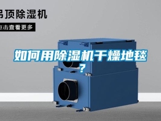 常見問題如何用除濕機干燥地毯？