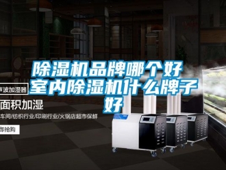 企業(yè)新聞除濕機(jī)品牌哪個好 室內(nèi)除濕機(jī)什么牌子好