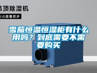 知識百科雪茄恒溫恒濕柜有什么用嗎？到底需要不需要購買