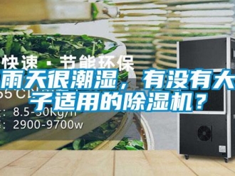 行業(yè)新聞下雨天很潮濕，有沒有大房子適用的除濕機？