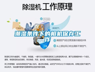 企業新聞潮濕條件下的相機保存工作