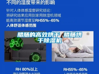 行業(yè)新聞臘腸的高效烘干 臘腸烘干除濕機