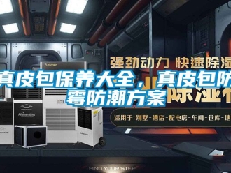 常見問題真皮包保養大全，真皮包防霉防潮方案