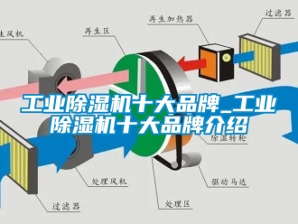常見問題工業除濕機十大品牌_工業除濕機十大品牌介紹