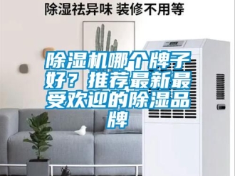 企業新聞除濕機哪個牌子好？推薦最新最受歡迎的除濕品牌