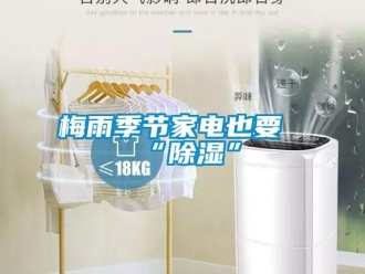 行業(yè)新聞梅雨季節(jié)家電也要“除濕”