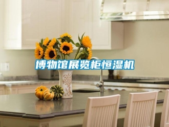 知識百科博物館展覽柜恒濕機