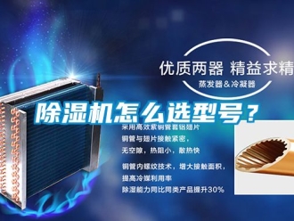行業(yè)新聞除濕機(jī)怎么選型號(hào)？