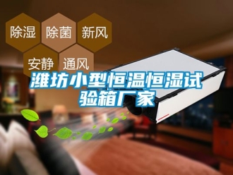知識百科濰坊小型恒溫恒濕試驗箱廠家