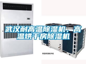 行業(yè)新聞武漢耐高溫除濕機，高溫烘干房除濕機