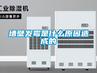 行業新聞墻壁發霉是什么原因造成的