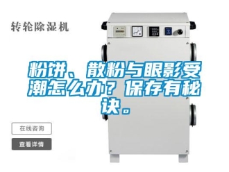 常見問題粉餅、散粉與眼影受潮怎么辦？保存有秘訣。