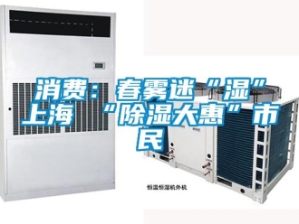 知識百科消費：春霧迷“濕”上海 “除濕大惠”市民