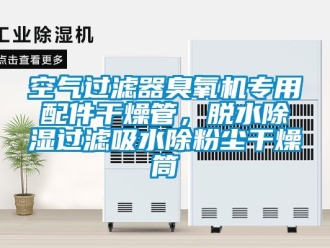 行業(yè)新聞空氣過濾器臭氧機(jī)專用配件干燥管，脫水除濕過濾吸水除粉塵干燥筒