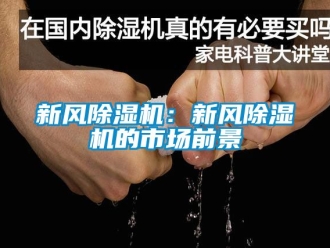 常見問(wèn)題新風(fēng)除濕機(jī)：新風(fēng)除濕機(jī)的市場(chǎng)前景