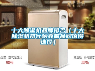 企業新聞十大除濕機品牌排名（十大除濕機排行榜靠前品牌值得選擇）