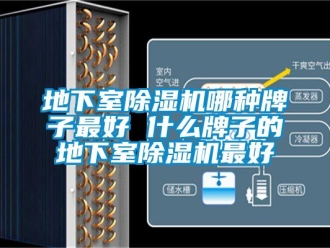 行業(yè)新聞地下室除濕機(jī)哪種牌子最好 什么牌子的地下室除濕機(jī)最好
