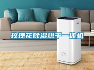 行業新聞玫瑰花除濕烘干一體機