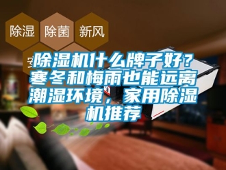 常見問題除濕機(jī)什么牌子好？寒冬和梅雨也能遠(yuǎn)離潮濕環(huán)境，家用除濕機(jī)推薦